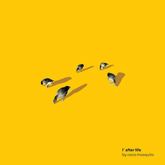 L'after Life - Coco Mosquito - Música - PDV - 3858890354911 - 28 de maio de 2021