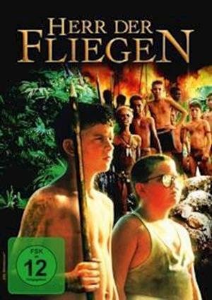 Cover for Harry Hook · Herr Der Fliegen (DVD) (2021)
