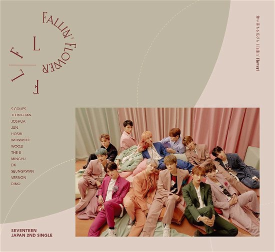 Cover for Seventeen · Fallin Flower (Version B) (CD) [Limited edition] (2020)
