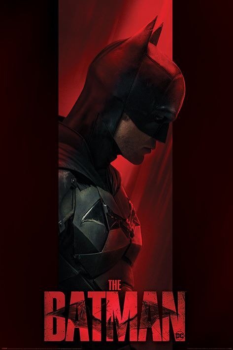 Cover for Dc Comics: Pyramid · The Batman - Out Of The Shadows (Maxi Poster) (MERCH)