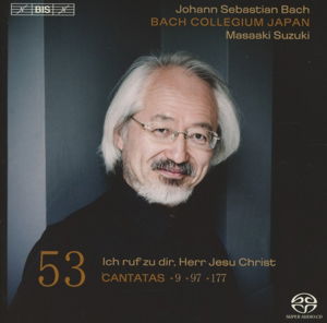 Cantatas Vol.53 - Johann Sebastian Bach - Musik - BIS - 7318599919911 - 25. marts 2013