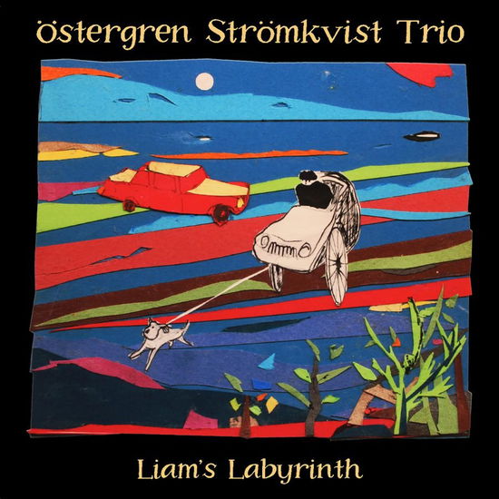 Cover for Ostergren Stromkvist Trio · Liams Labyrinth (CD) (2020)