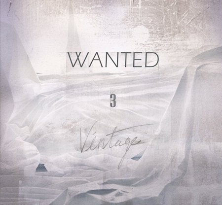 Cover for Wanted · Vintage (CD) (2012)