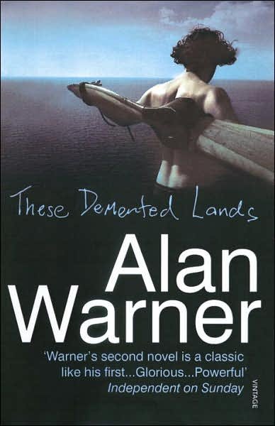 Cover for Alan Warner · These Demented Lands (Pocketbok) (1998)