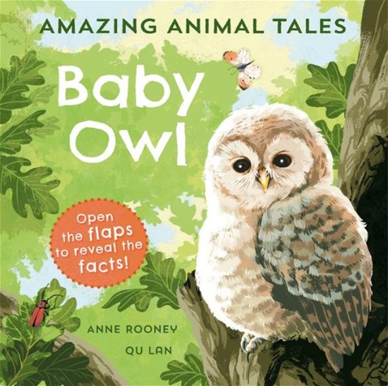 Cover for Anne Rooney · Amazing Animal Tales: Baby Owl (Paperback Bog) (2023)
