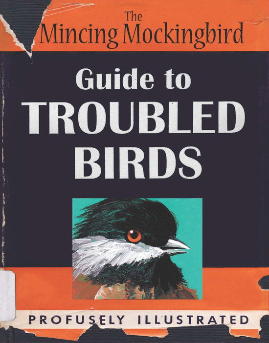 The Mincing Mockingbird Guide to Troubled Birds - The Mincing Mockingbird - Bøger - Penguin Putnam Inc - 9780399170911 - 12. juni 2014