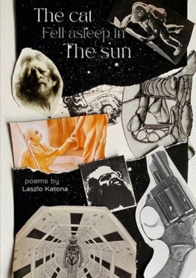 Cover for Laszlo Katona · The cat fell asleep in the sun (Paperback Book) (2021)