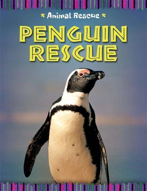 Cover for Clare Hibbert · Animal Rescue: Penguin Rescue - Animal Rescue (Gebundenes Buch) [Illustrated edition] (2015)