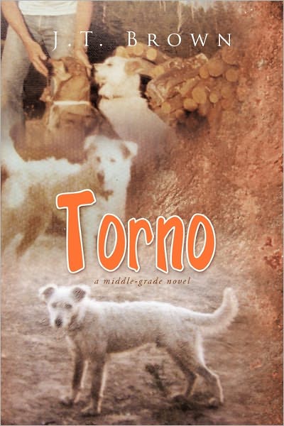 Cover for J T Brown · Torno: a Middle-grade Novel (Paperback Book) (2011)