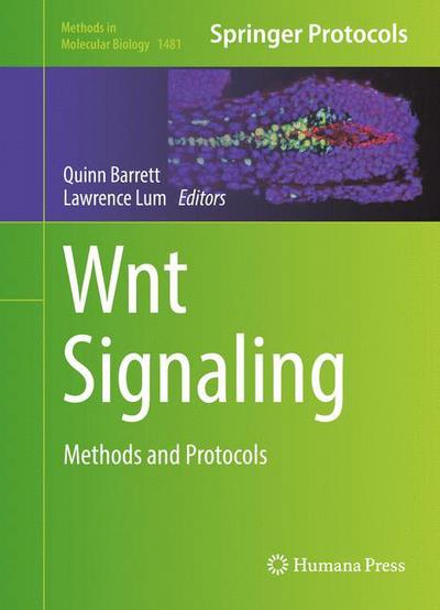 Wnt Signaling: Methods and Protocols - Methods in Molecular Biology - - Kirjat - Humana Press Inc. - 9781493963911 - lauantai 3. syyskuuta 2016
