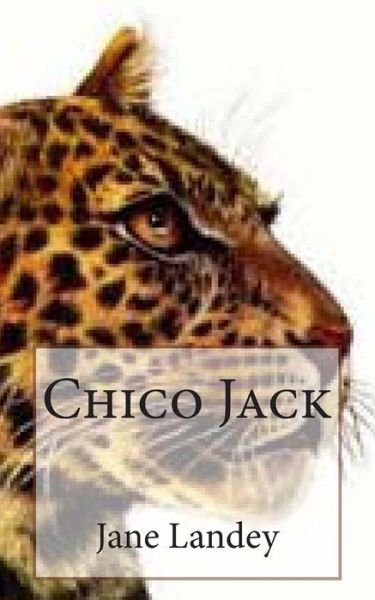 Cover for Jane Landey · Chico Gato Jack (Taschenbuch) (2015)