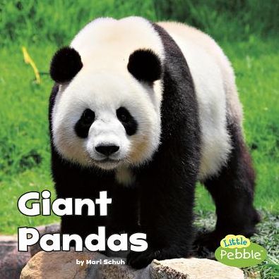 Cover for Mari Schuh · Giant Pandas (Black and White Animals) (Paperback Book) (2017)