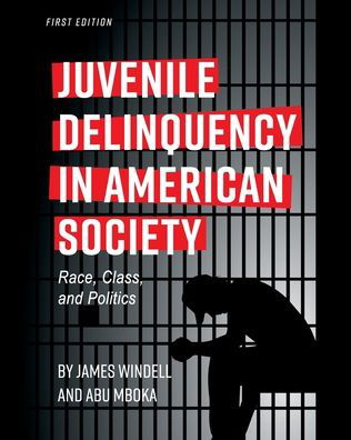 Cover for Windell, James, MA · Juvenile Delinquency in American Society: Race, Class, and Politics (Paperback Book) (2019)