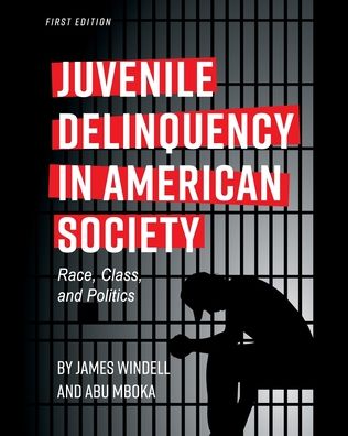 Juvenile Delinquency in American Society: Race, Class, and Politics - Windell, James, MA - Books - Cognella, Inc - 9781516512911 - August 6, 2019