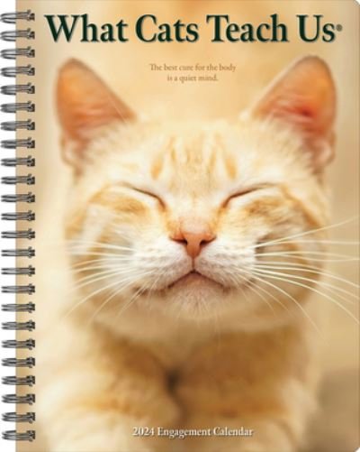 Cover for Willow Creek Press · What Cats Teach Us 2024 6.5 X 8.5 Engagement Calendar (Kalender) (2023)