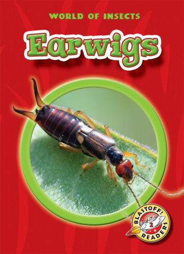 Cover for Colleen Sexton · Earwigs (Blastoff! Readers: World of Insects) (Blastoff Readers. Level 2) (Hardcover Book) (2008)