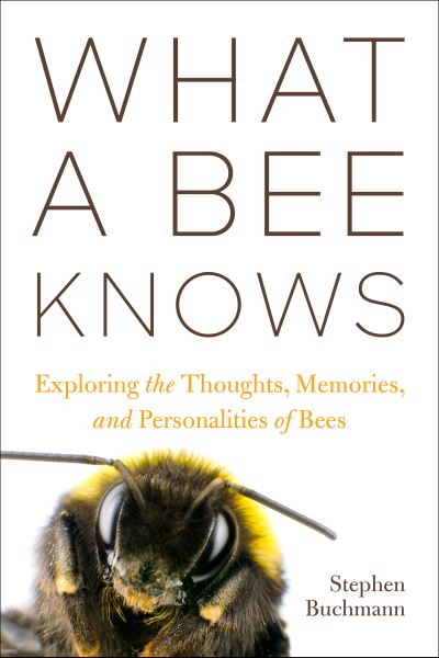 What a Bee Knows: Exploring the Thoughts, Memories, and Personalities of Bees - Stephen L Buchmann - Books - Island Press - 9781642833911 - May 7, 2024