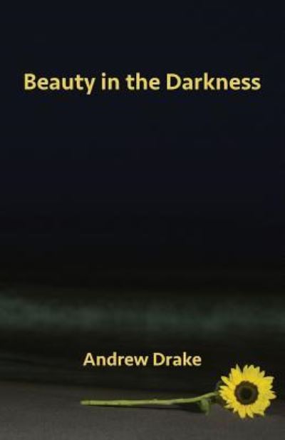 Cover for Andrew Drake · Beauty in the Darkness (Paperback Book) (2019)