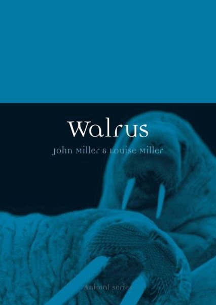 Cover for John Miller · Walrus - Animal (Paperback Book) (2014)