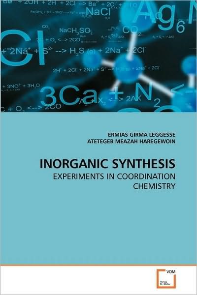Cover for Atetegeb Meazah · Inorganic Synthesis: Experiments in Coordination Chemistry (Paperback Book) (2010)