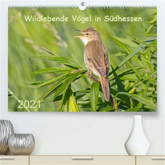 Cover for Buß · Wildlebende Vögel in Südhessen (Pre (Bog)