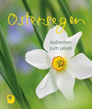 Cover for Ostersegen (Book) (2024)