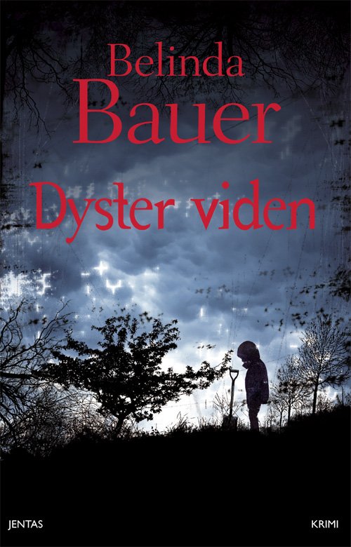 Cover for Belinda Bauer · Dyster viden (Sewn Spine Book) [1st edition] (2010)