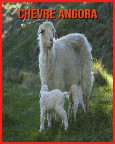 Cover for Annie Nichols · Chevre Angora (Paperback Book) (2021)