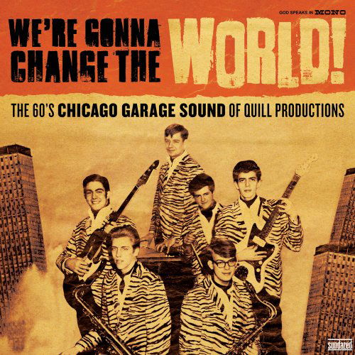 Cover for Various Artists · We're Gonna Change The World: The 60's Chicago Garage (LP) (2015)