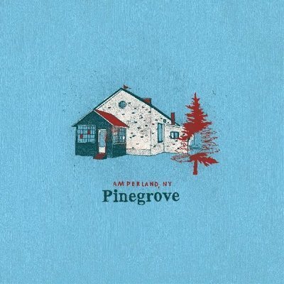 Cover for Pinegrove · Amperland, Ny (LP) (2021)