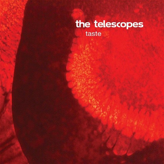 Cover for The Telescopes · Taste (COLOR VINYL) (LP)
