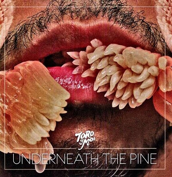 Cover for Toro Y Moi · Underneath The Pine (LP) (2011)