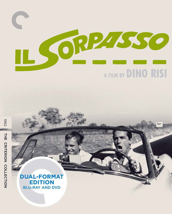 Cover for Criterion Collection · Il Sorpasso/bd (Blu-ray) (2014)