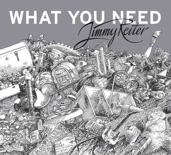 Cover for Jimmy Reiter · What You Need (LP) (2019)