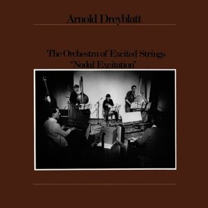 Cover for Arnold Dreyblatt · Nodal Excitation (LP) [Standard edition] (2015)