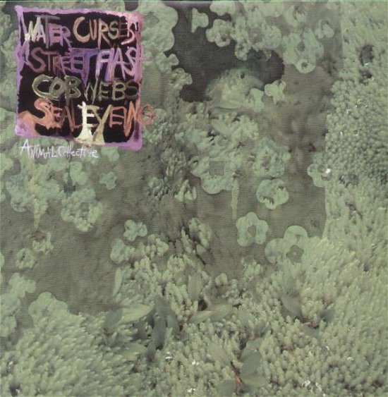 Water Curses - Animal Collective - Música - domino - 0801390016912 - 3 de junio de 2008