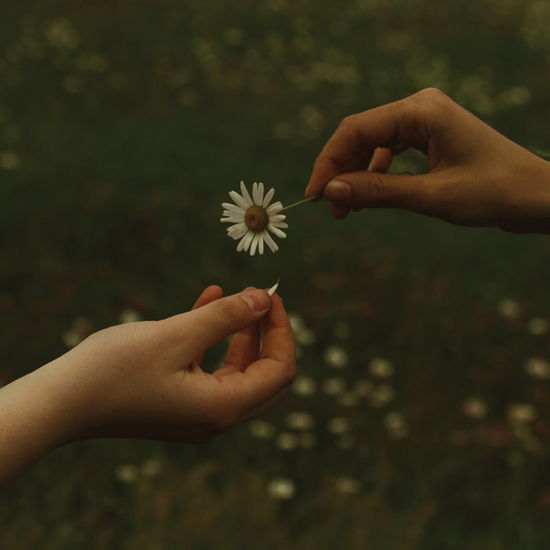 Cover for Goldmund · The Time It Takes (LP) [Limited edition] (2020)