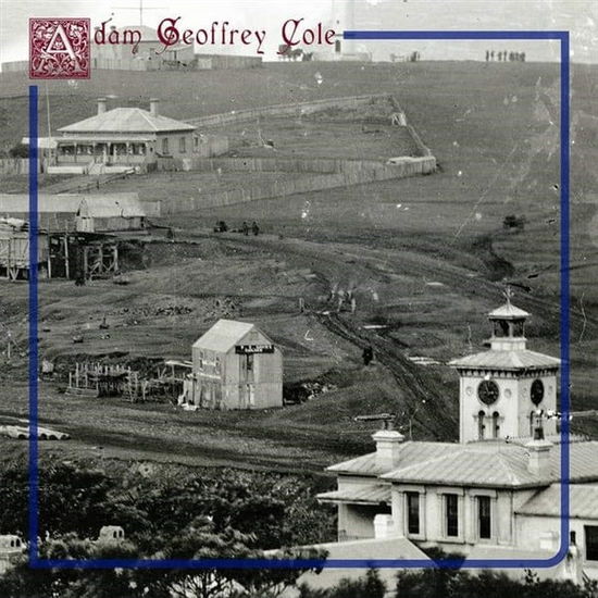 Cover for Adam Geoffrey Cole · Fallowing (LP) (2021)