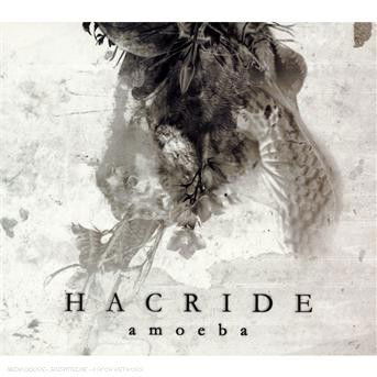 Cover for Hacride · Amoeba (CD) (2007)