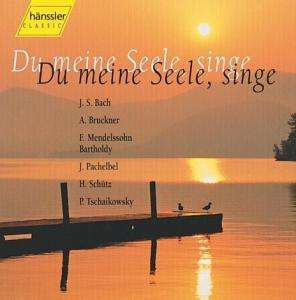* Du Meine Seele, Singe - Altensteiger Vokalensemble/+ - Musikk - hänssler CLASSIC - 4010276004912 - 7. mai 1998
