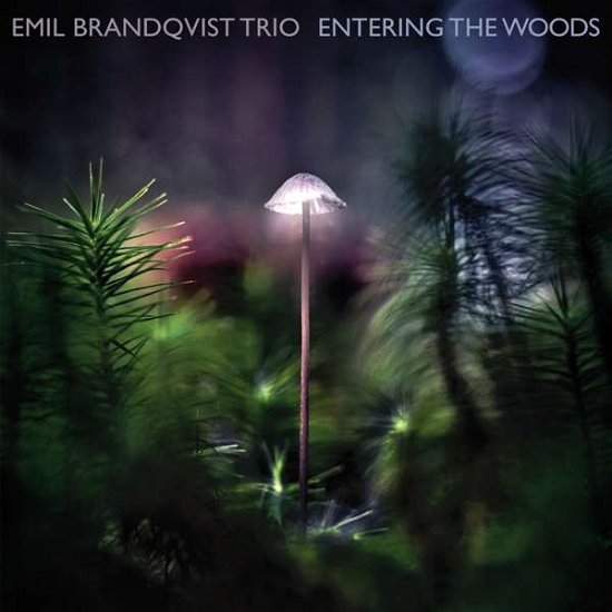 Cover for Emil Brandqvist Trio · Entering The Woods (ltd/180gr/Black Vinyl) (LP) [Limited, 180 gram edition] (2020)