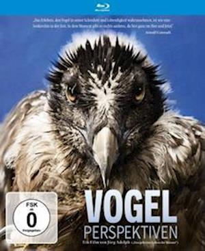 Cover for Jörg Adolph · Vogelperspektiven (Blu-ray) [Special edition] (2023)