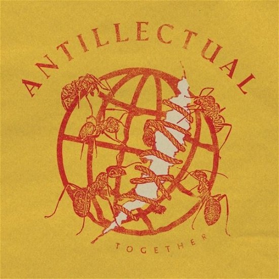 Cover for Antillectual · Together (LP) (2023)