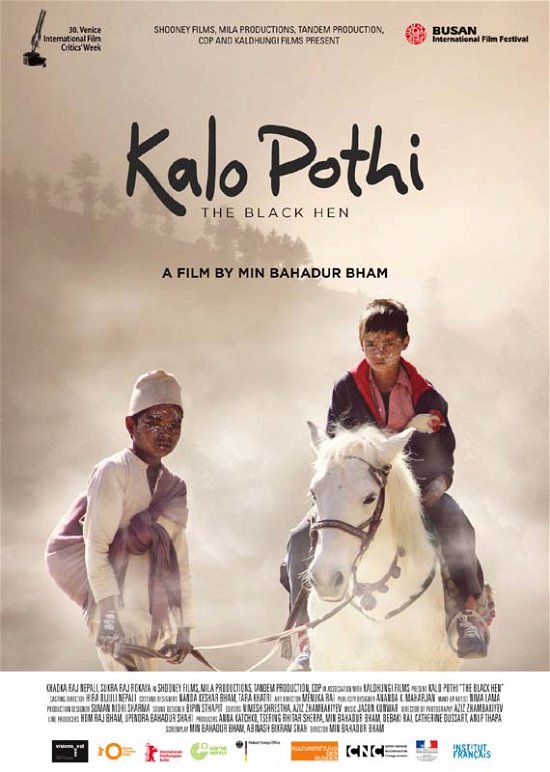 Cover for The Black Hen Kalo Pothi · The Black Hen (DVD) (2017)