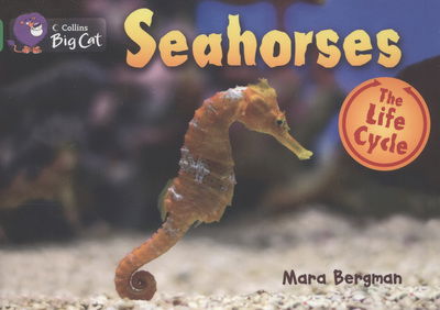 Seahorses: Band 05/Green - Collins Big Cat - Mara Bergman - Kirjat - HarperCollins Publishers - 9780007461912 - maanantai 3. syyskuuta 2012