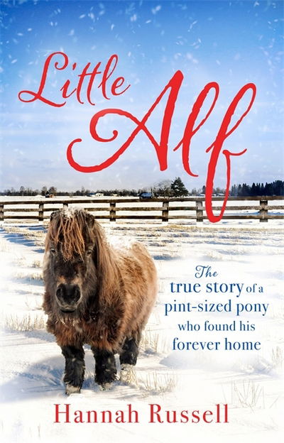 Cover for Hannah Russell · Little Alf: The true story of a pint-sized pony who found his forever home (Paperback Book) (2017)
