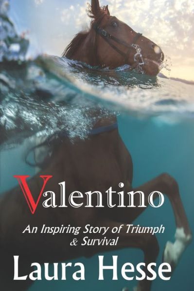 Cover for Laura Hesse · Valentino (Paperback Book) (2018)