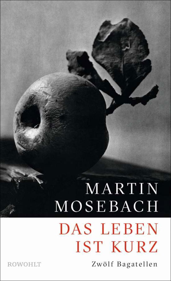 Cover for Mosebach · Das Leben ist kurz (Book)