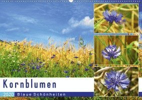 Cover for Löwer · Kornblumen - Blaue Schönheiten (W (Bog)