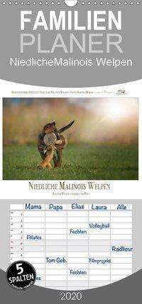 Cover for Wrede · Niedliche Malinois Welpen - Famil (Book)
